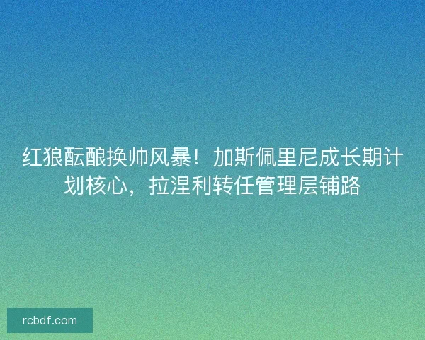 红狼酝酿换帅风暴！加斯佩里尼成长期计划核心，拉涅利转任管理层铺路