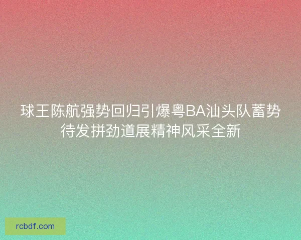 球王陈航强势回归引爆粤BA汕头队蓄势待发拼劲道展精神风采全新